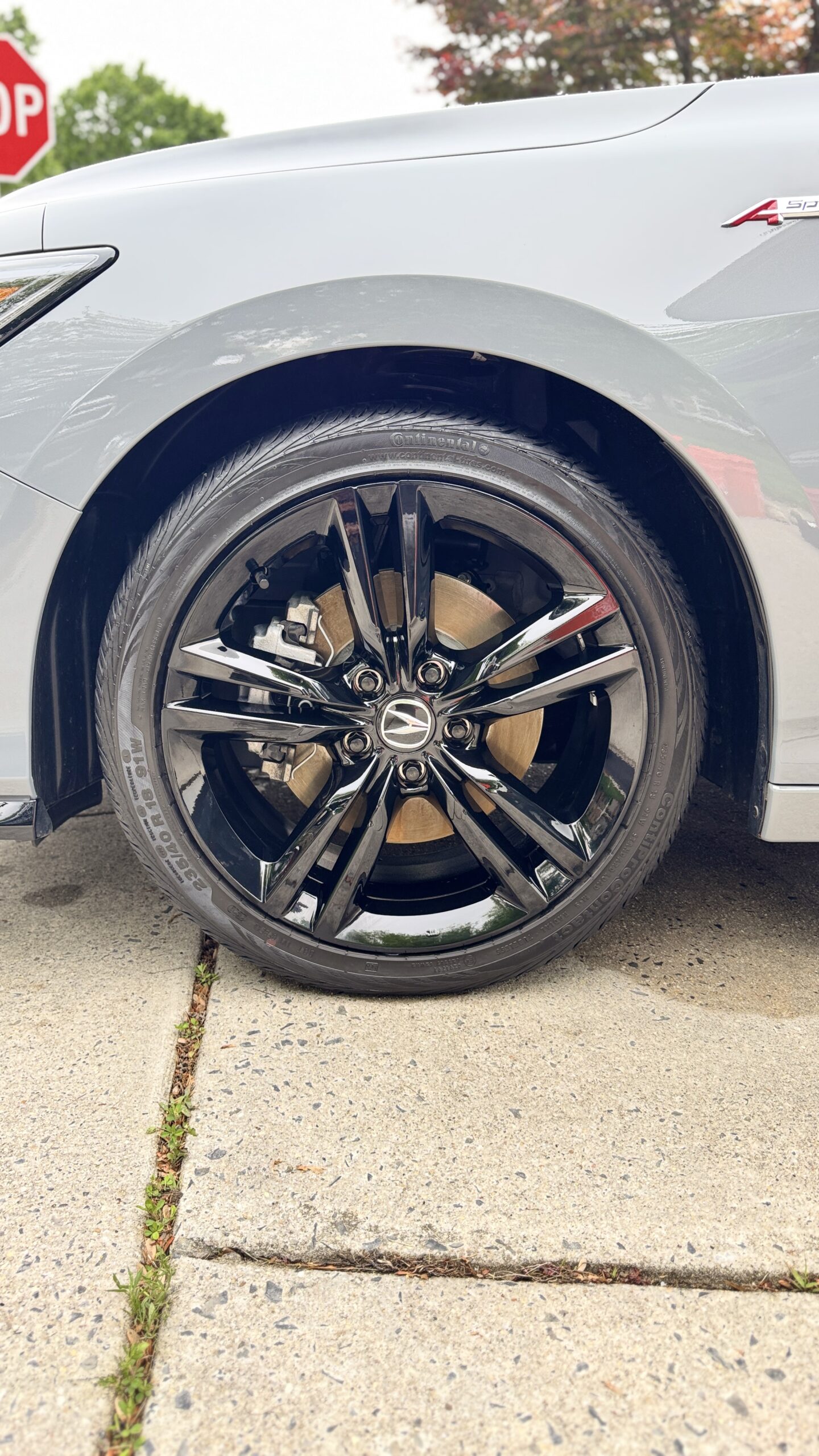 car detailing (9)